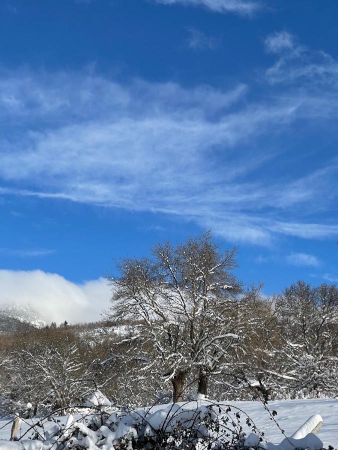 La Holandesa Διαμέρισμα Cercedilla Εξωτερικό φωτογραφία