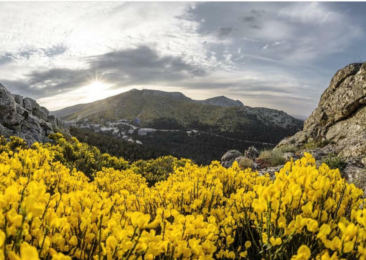 La Holandesa Διαμέρισμα Cercedilla Εξωτερικό φωτογραφία