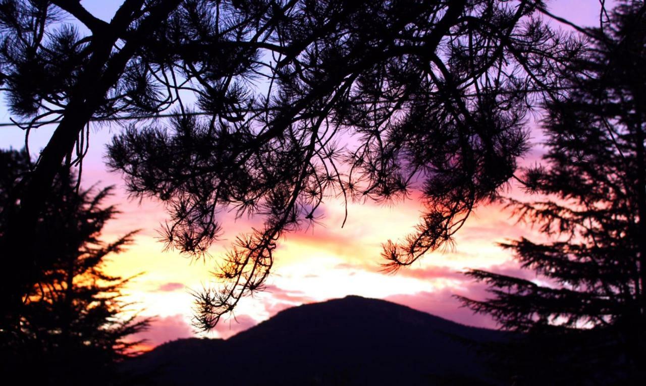 La Holandesa Διαμέρισμα Cercedilla Εξωτερικό φωτογραφία